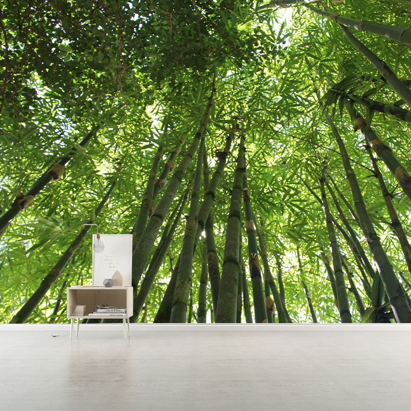 Green Bamboo Wall Mural Minimalist Decoration Stain Resistant for Sitting Room