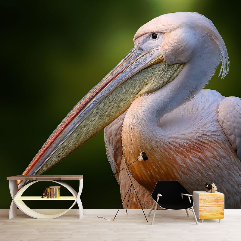Customized Contemporary Pelican Mural Mildew Resistant for Sitting Room Bedroom