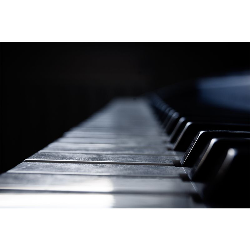 Modern Musical Instrument Wall Mural Decal Full Size, Moisture Resistant