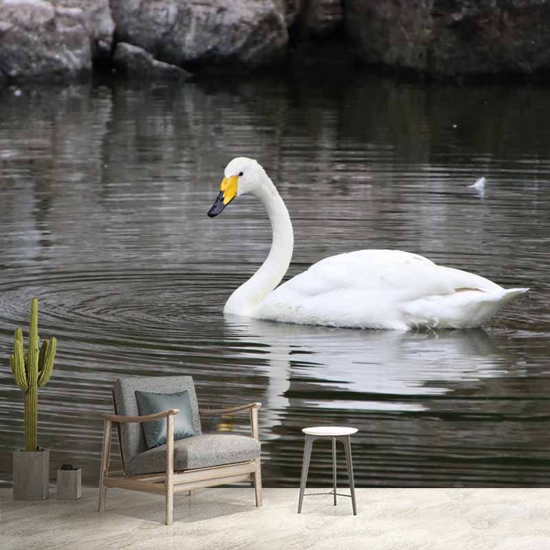 Customized Swan Wall Mural Environment Friendly Wallpaper for Guest Room Decoration