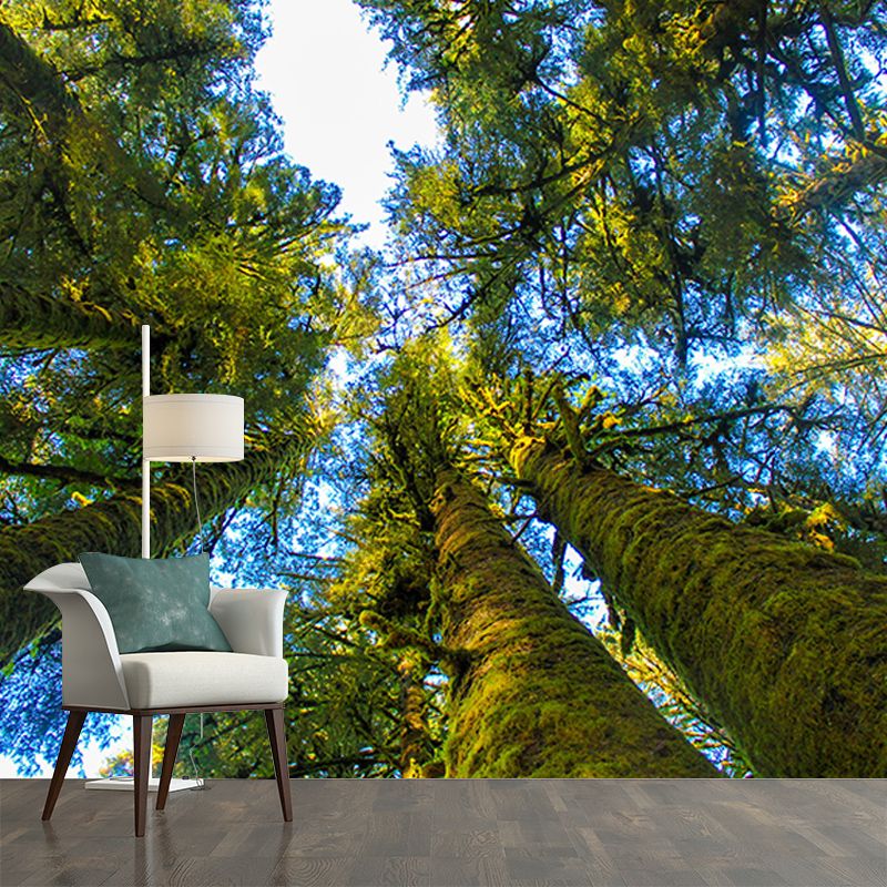 Wall Covering Contemporary Photography Forest Wall Mural Wallpaper Bedroom