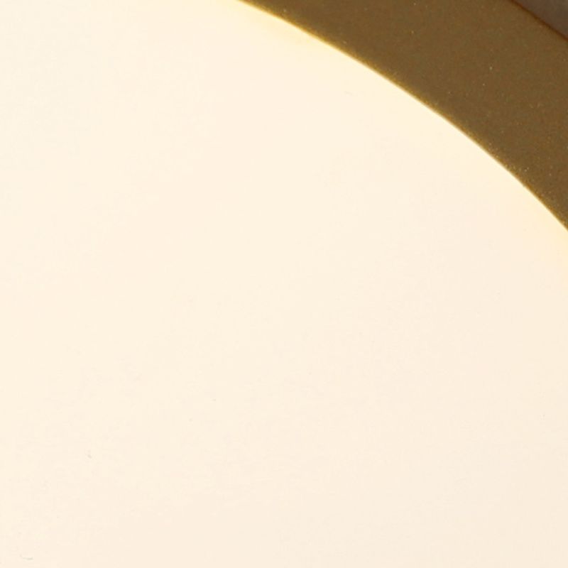 Metal Circle Ceiling Lighting Nordic Style LED Gold Close to Ceiling Lamp