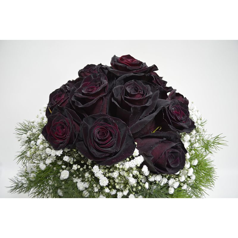 Roses Contemporary Mural Decal Sitting Room Moisture Resistant Wall Decor