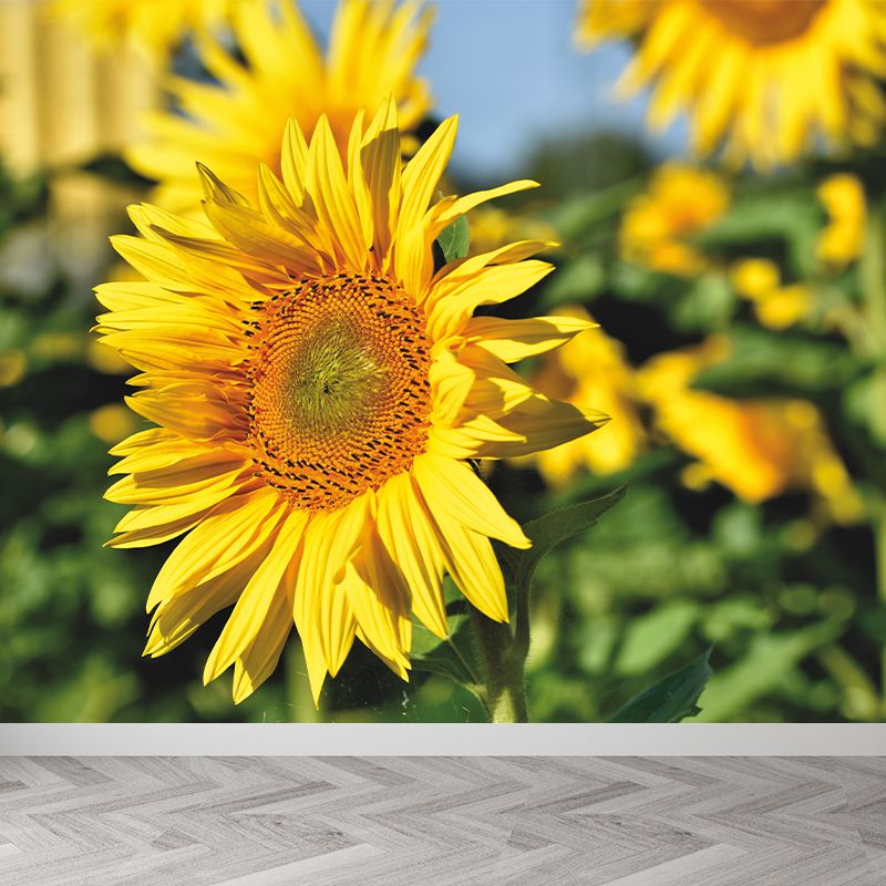 Yellow Sunflower Scenery Mural Wallpaper for Meeting Room Decoration, Washable