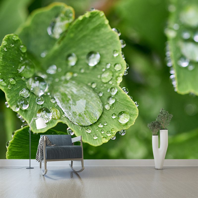 Ginkgo Biloba Moisture Resistant Mural for Sitting Room, Customized Size Available