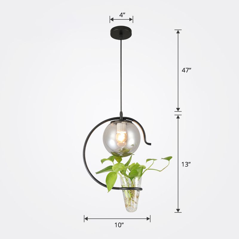 Ball Restaurant Hanging Light Loft Glas 1-Licht-Pendellicht mit Kegelpflanzenbehälter