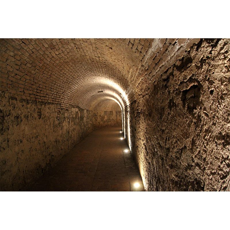 Space Extension Wall Mural Wallpaper Mildew Resistant Wall Covering for Home