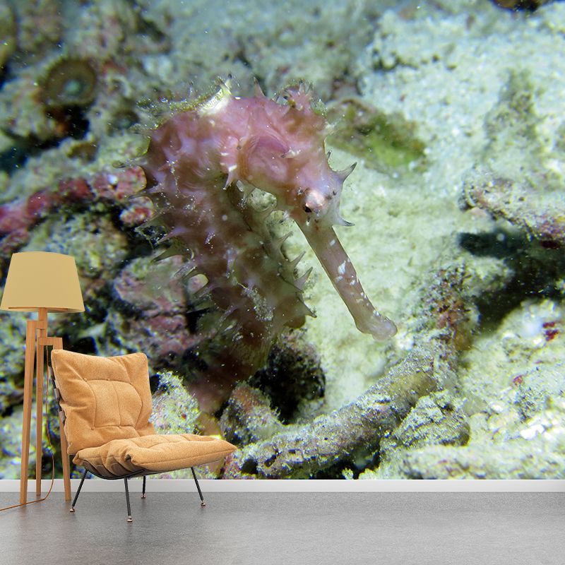 Photography Environment Friendly Undersea Wallpaper Drawing Room Wallpaper