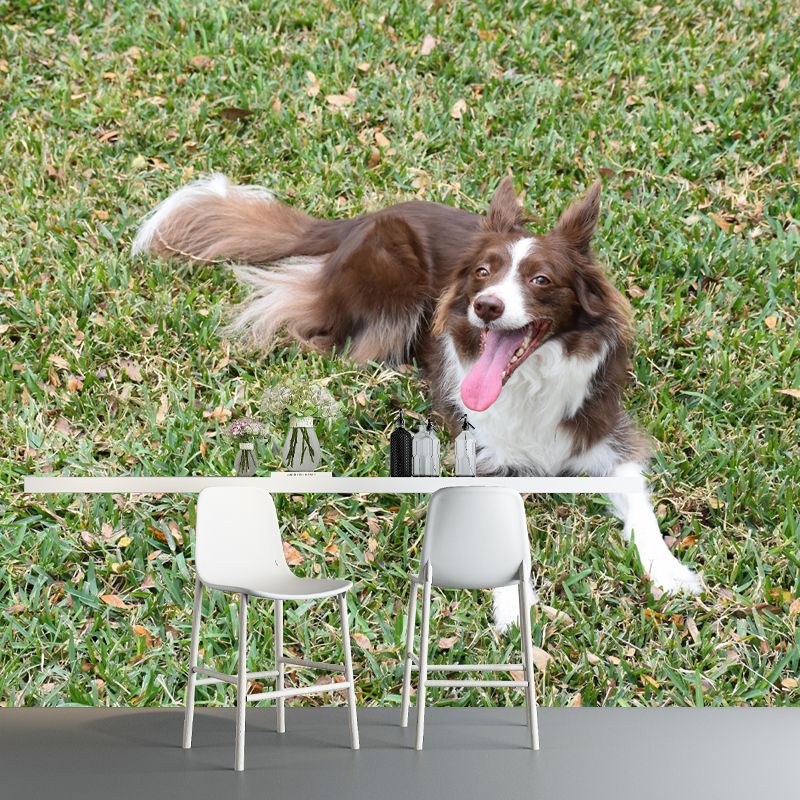 Lovely Border Collie Mural Wall Decor Living Room Wall Covering for Decoration