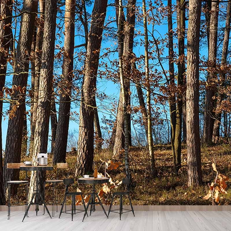 Bedroom Mildew Resistant Wall Mural Wallpaper Forest Landscapes Pattern