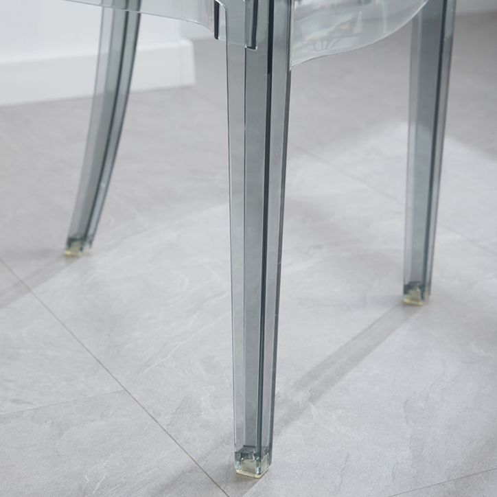 King Louis Back Chair Scandinavian Acrylic Dining Kitchen Room Armchair