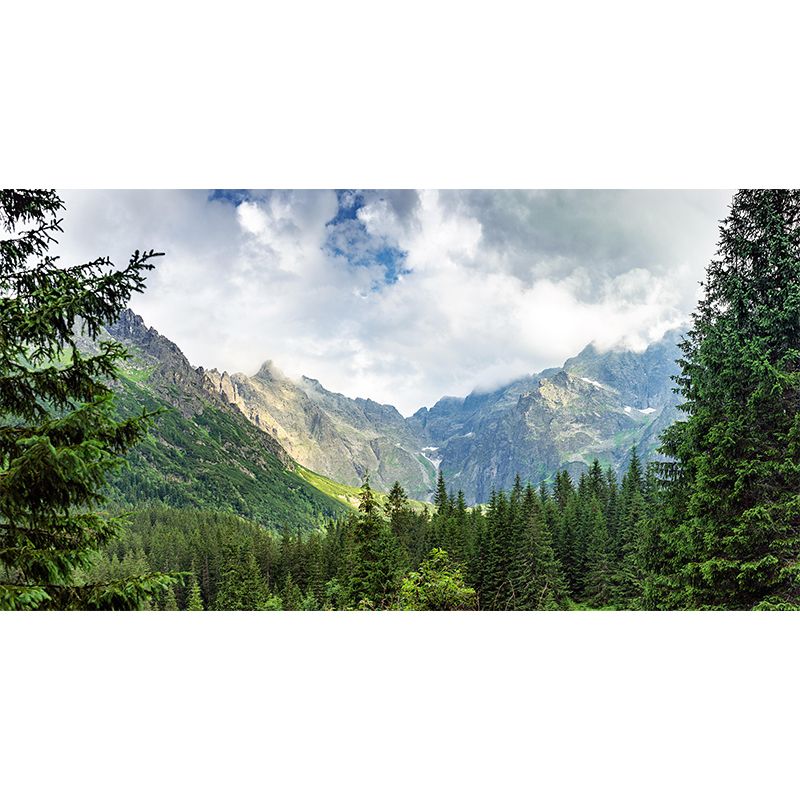 Modern Mountain Environment Friendly Mural Wall Covering for Sleeping Room