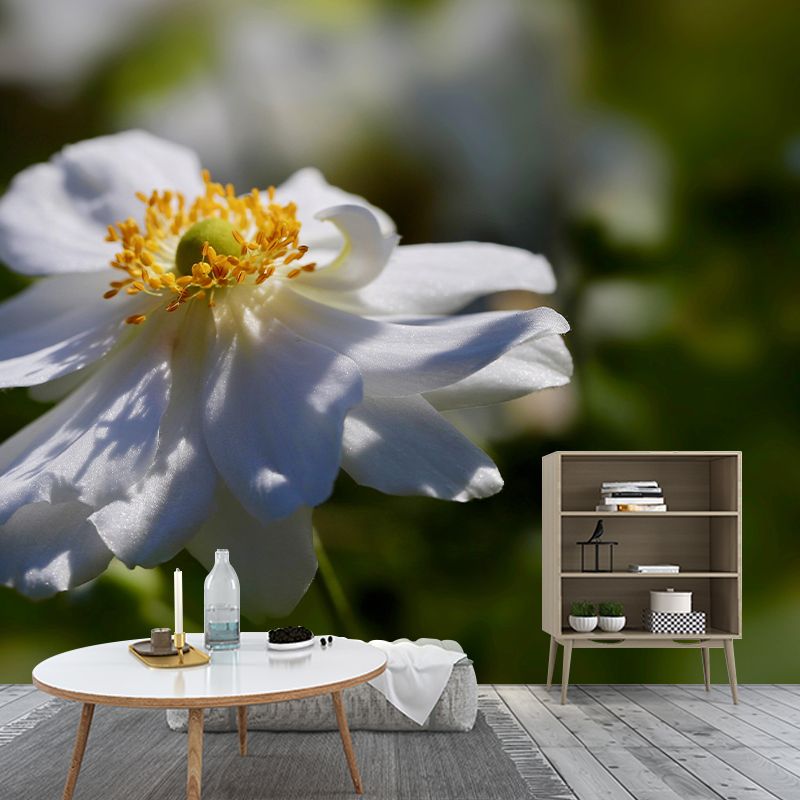 Customized Moisture Resistant Mural Wallpaper Decal Autumn Anemone Wall Decor
