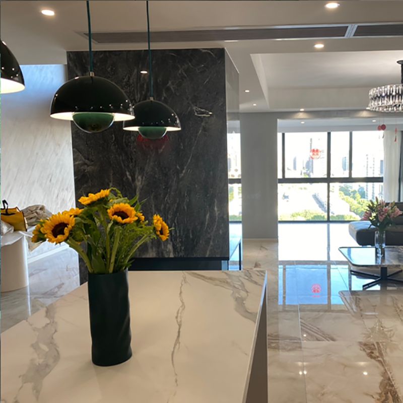 Lumière suspendue contemporaine Round Shape Pendante Lightture pour salle à manger Coffee Shop