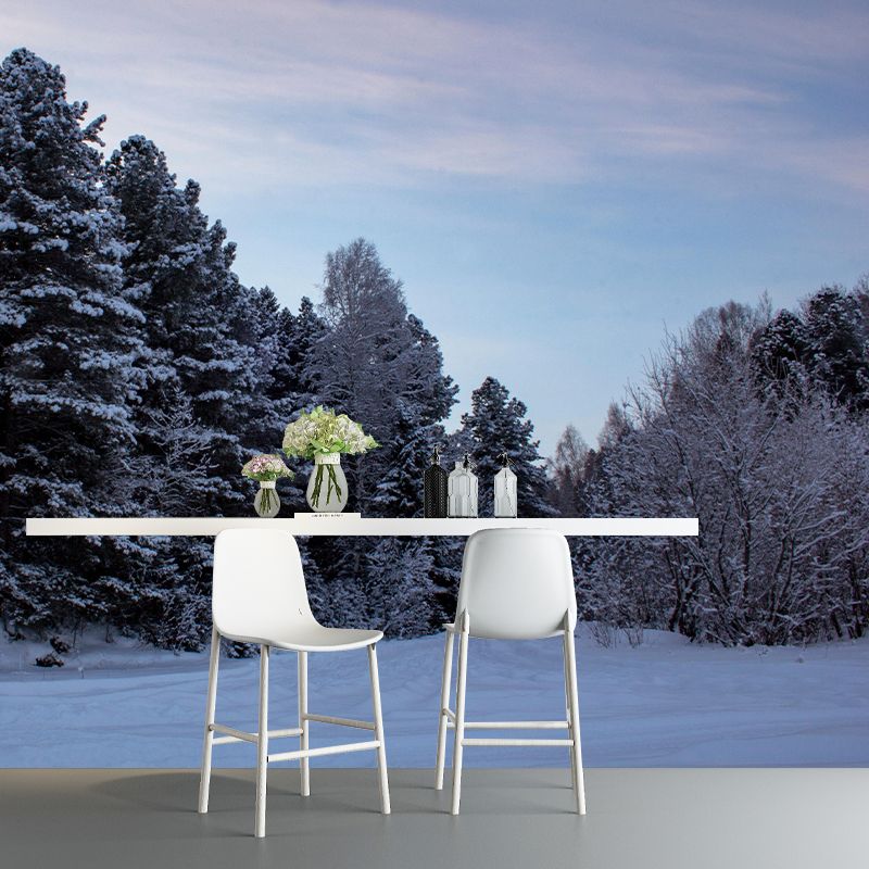 Contemporary Forest Mural Wallpaper Decorative Mildew Resistant Wall Decor