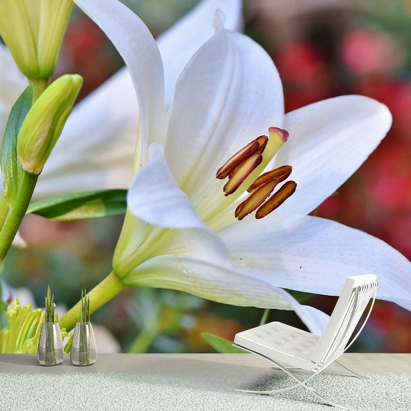 Beautiful Lilies Mural Wallpaper Minimalist Wall Art, Customized Size Available