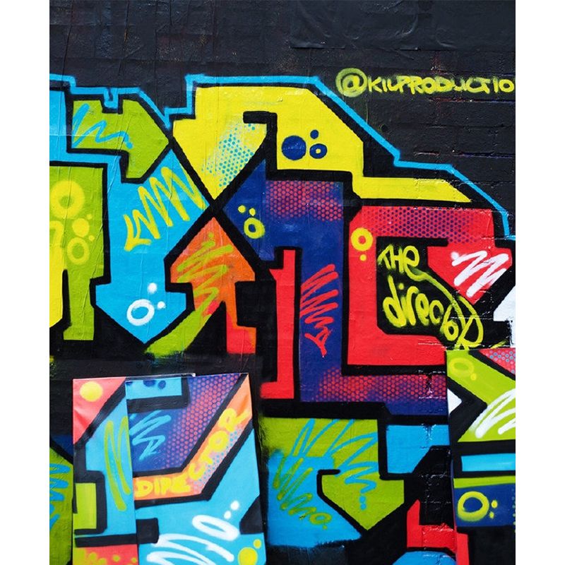 Extra Large Graffiti Mural Light Color Non-Woven Wall Art for Indoor Decor, Customised