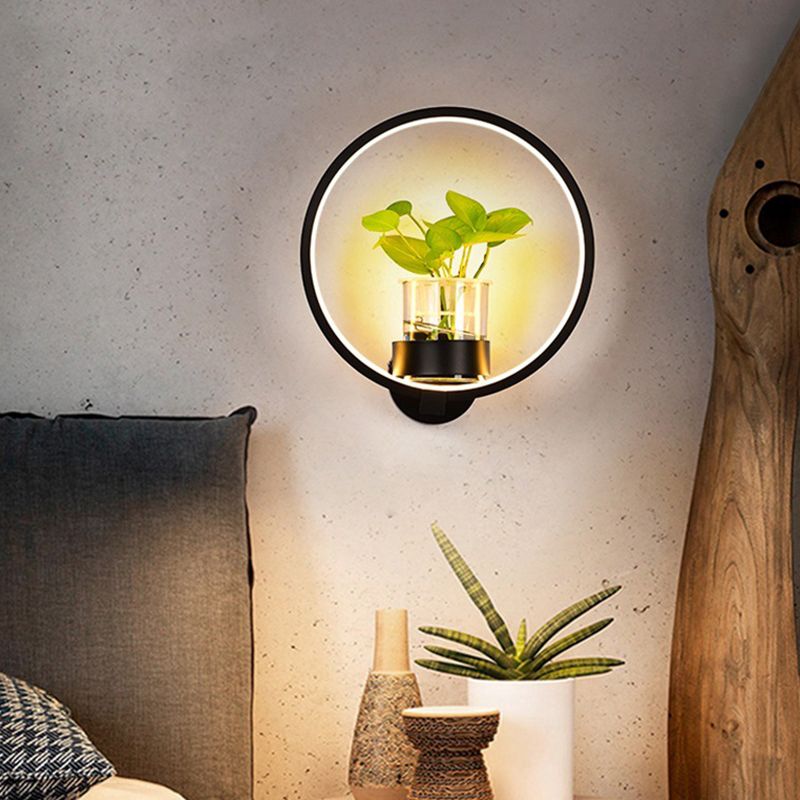 Decorative Halo LED Wall Sconce Metal Bedroom Wall Light Fixture with Glass Hydroponic Pot