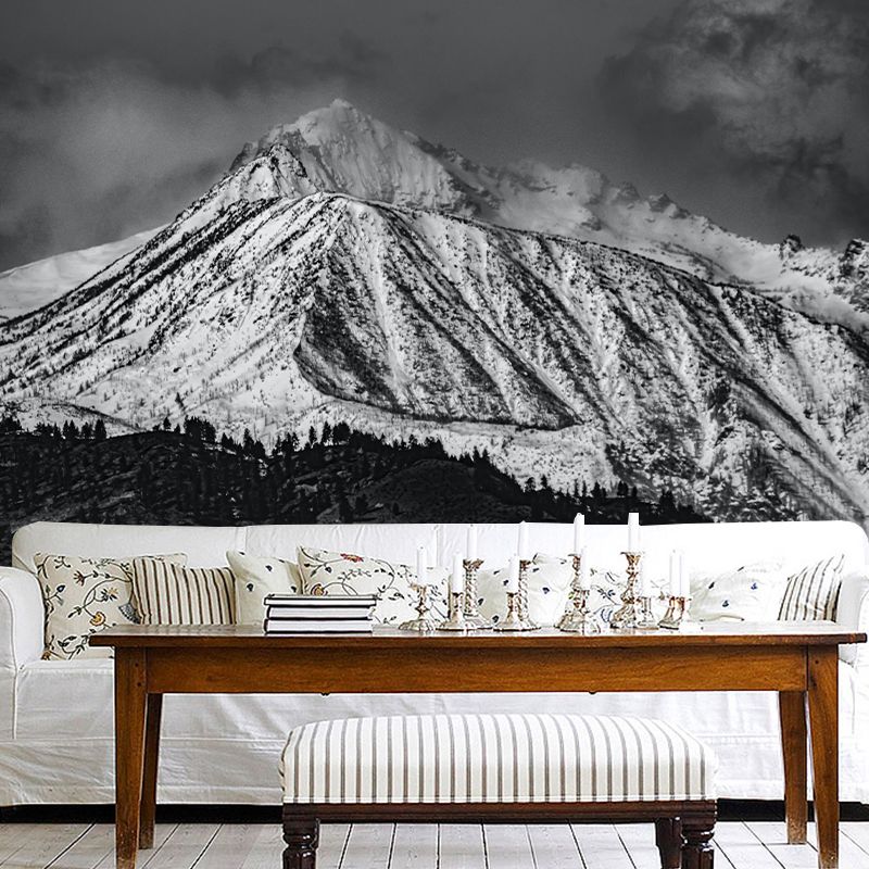 Snow Mountain Wall Mural Wallpaper Photography  Resistant for Room