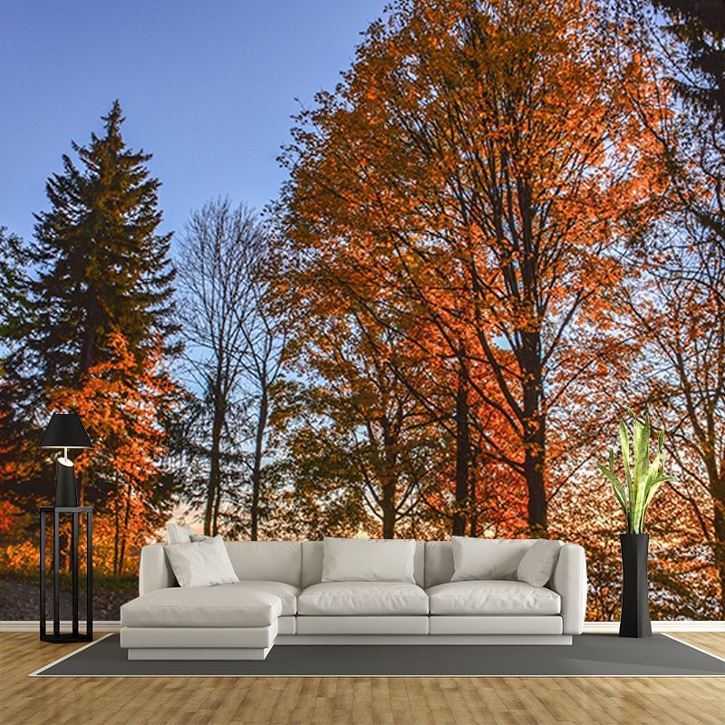 Autumn Forest Style Forest Mural Horizontal Photography Sleeping Room Wall Mural