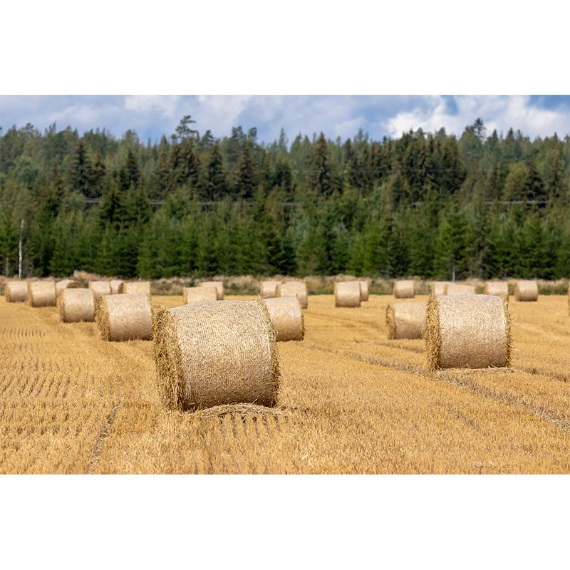 Horizontal Photography Straw Bales Mural Moisture Resistant for Sitting Room