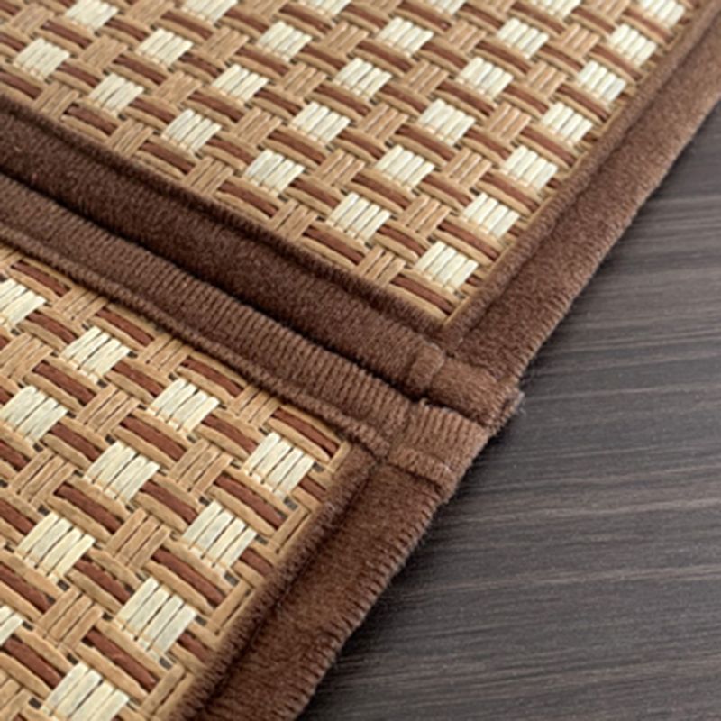 Brown Sisal Rug Polyester Countryside Rug Washable Rug for Living Room