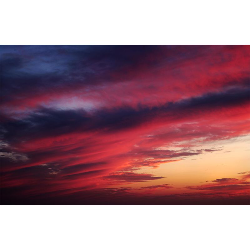 Sky Wall Cloud Contemporary Mural Mildew Resistant Wallpaper for Living Room