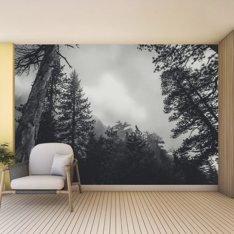 Vivid Scene Style Forest Wall Mural Wallpaper Photography Mildew Resistant for Decoration