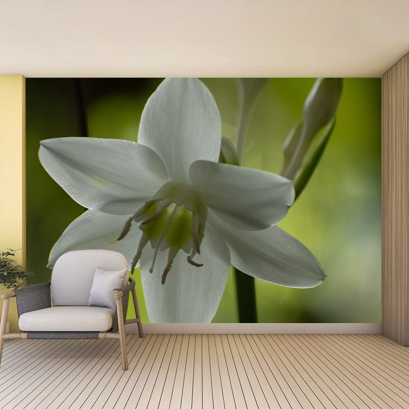 Beautiful Orchid Photo Mural Wallpaper Moisture Resistant Art, Custom Size Available