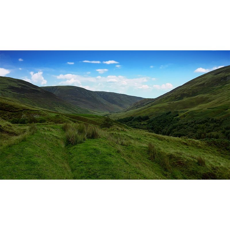 Mountain Landscapes Mural Wallpaper Moisture Resistant Wall Decor for House Interior