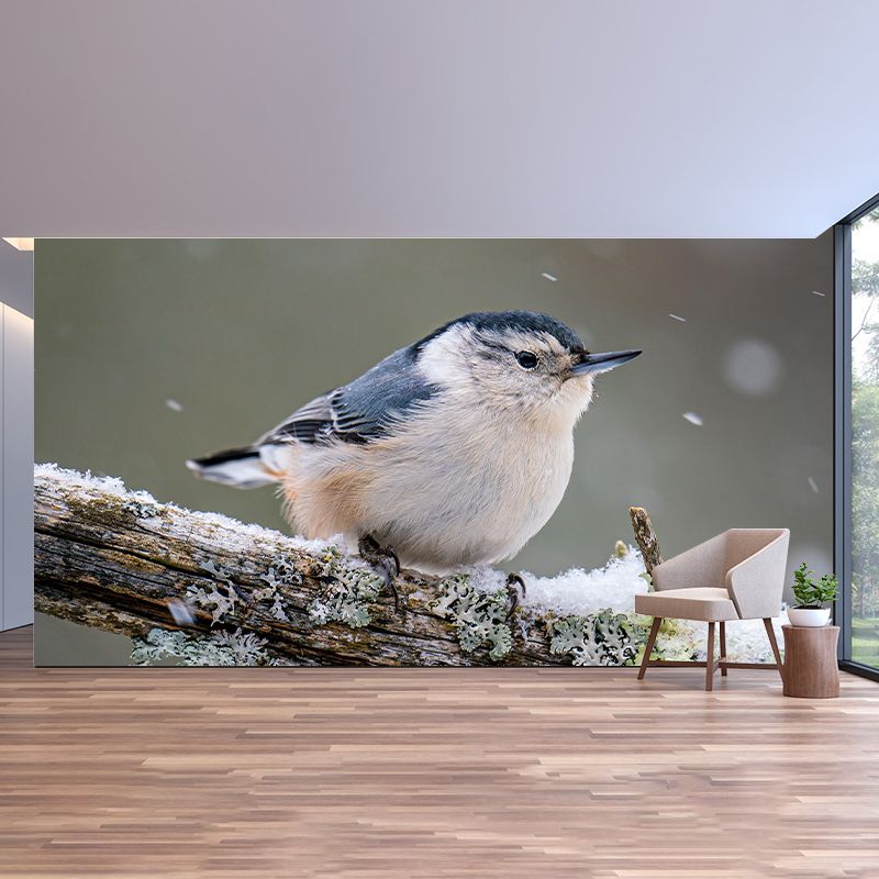 Bird Print Mildew Resistant Wall Mural Wild Animal Wallpaper Room Wall Mural