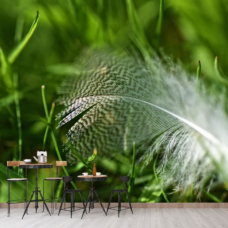 Waterproofing Bird Feather Mural Wallpaper Decorative Wall Art for Home