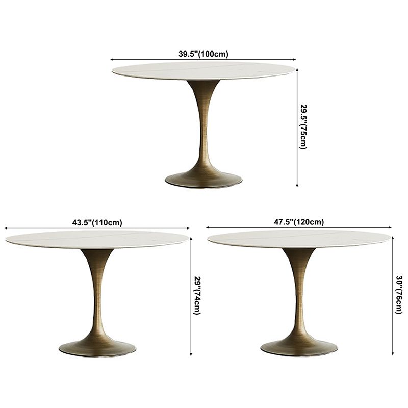 Contemporary Round Dining Table Sintered Stone Table with Brass Tulip Base