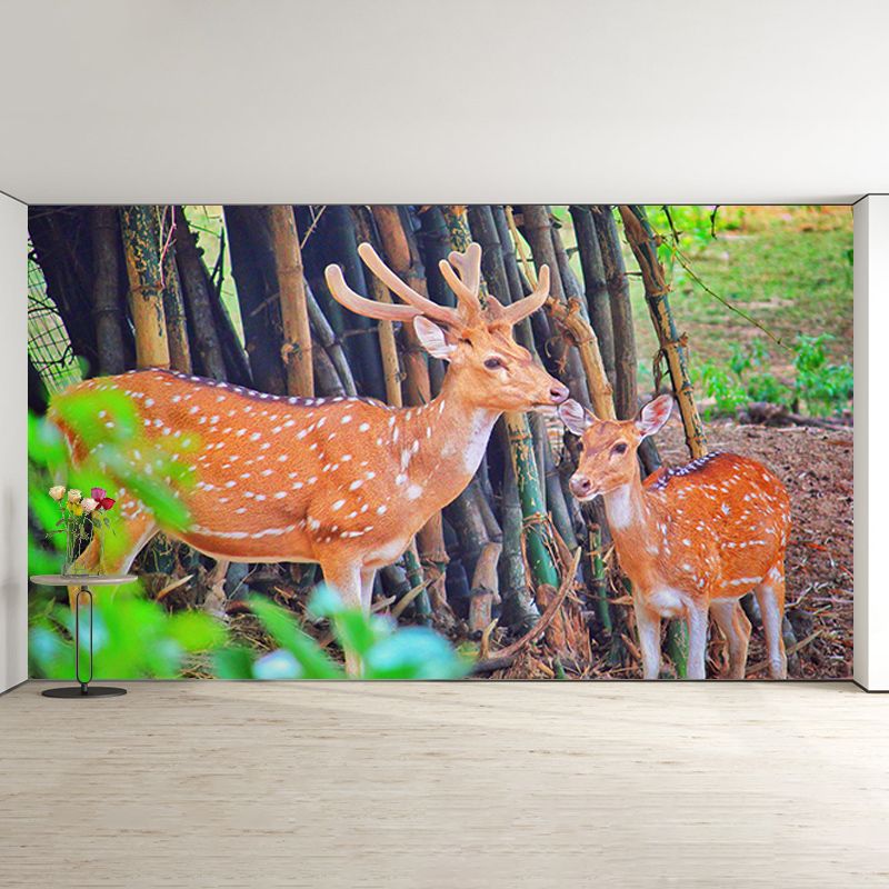 Deer Animal Mural Wallpaper for Bedroom Decor Moisture Resistant, Made to Measure
