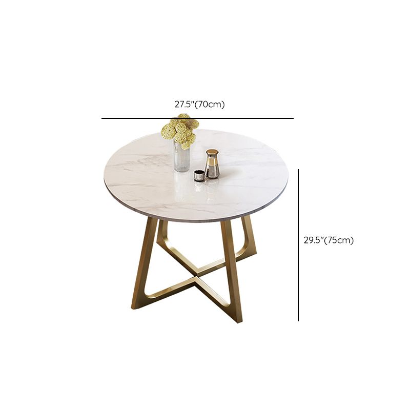 Glam Stone Round Dining Table Double Pedestal Table for Dining Room