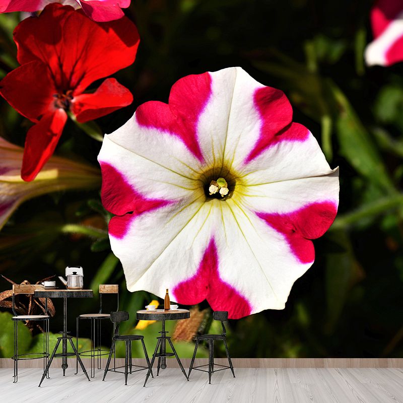 Beautiful Petunia Mural Wallpaper Mildew Resistant for Living Room Decor