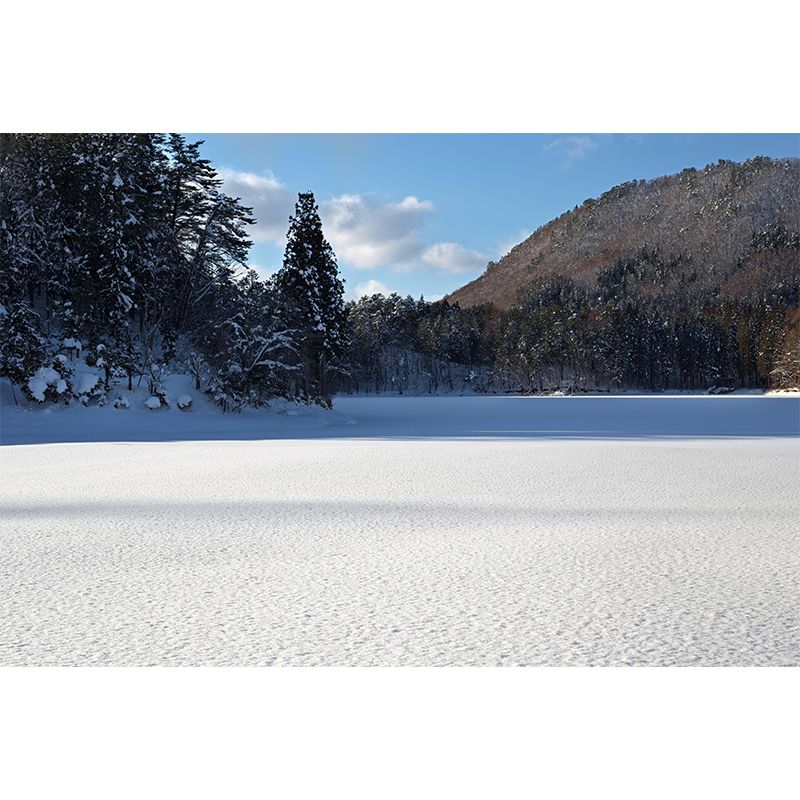 Mountain View Wall Mural Wallpaper Modern Style Mildew Resistant for Decoration