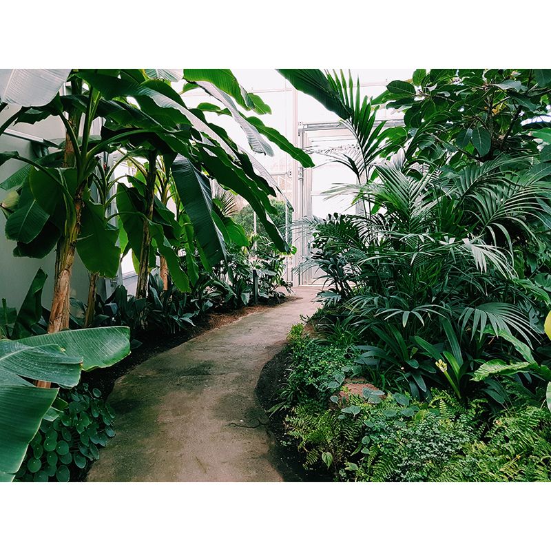 Environmental Wall Mural Wallpaper Tropical Landscape Sitting Room Wall Mural