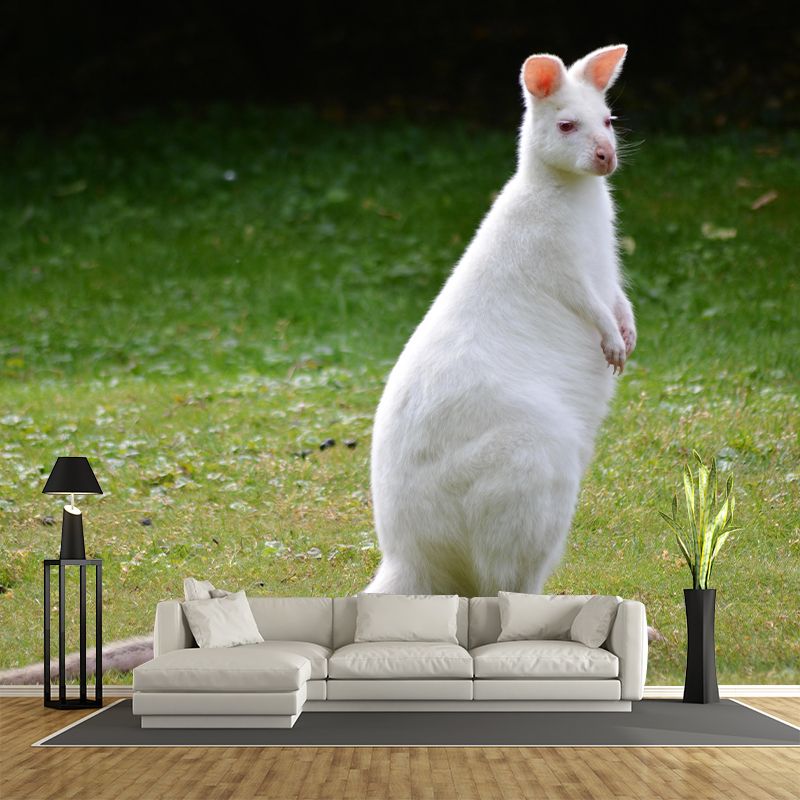 Kangaroo Contemporary Mural Decal Sitting Room Moisture Resistant Wall Decor