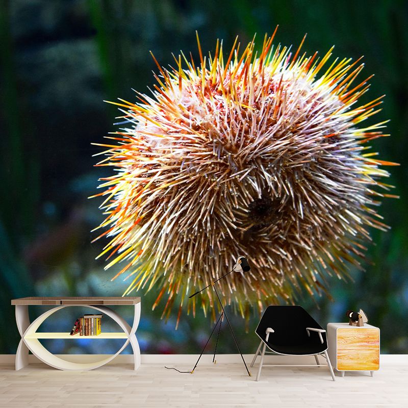 Sea Urchin Contemporary Mural Decal Sitting Room Moisture Resistant Wall Decor