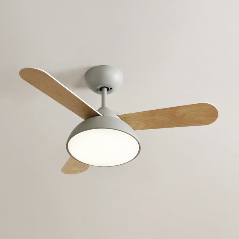 Modern Style Ceiling Fan Lighting Metal 1 Light Ceiling Fan Lighting for Children's Room