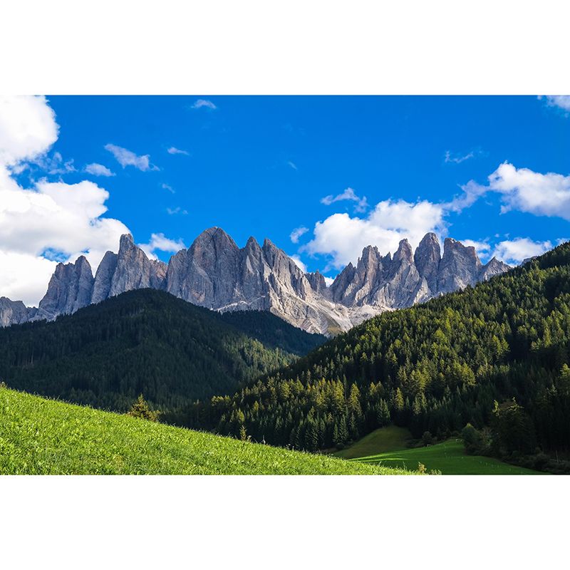 Mountain Scenery Wall Mural Modernism Style Wall Decoration for Wall Decor