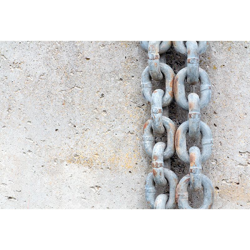 Coherer Mural Wallpaper Moisture Resistant Wall Decor for Living Room Bedroom