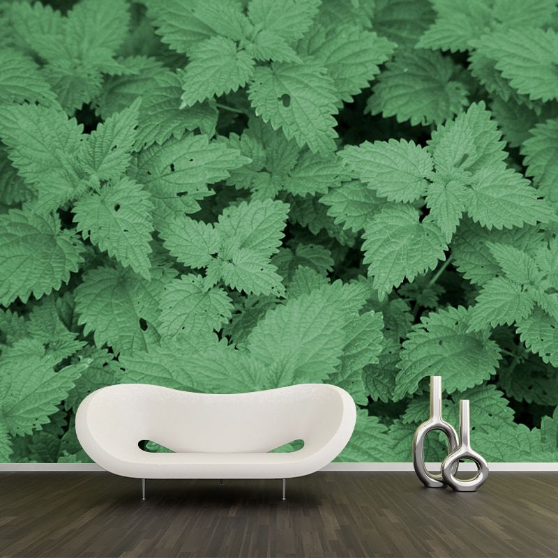 Décoration murale personnalisée en ortie, couleur claire, résistante à la moisissure pour le salon