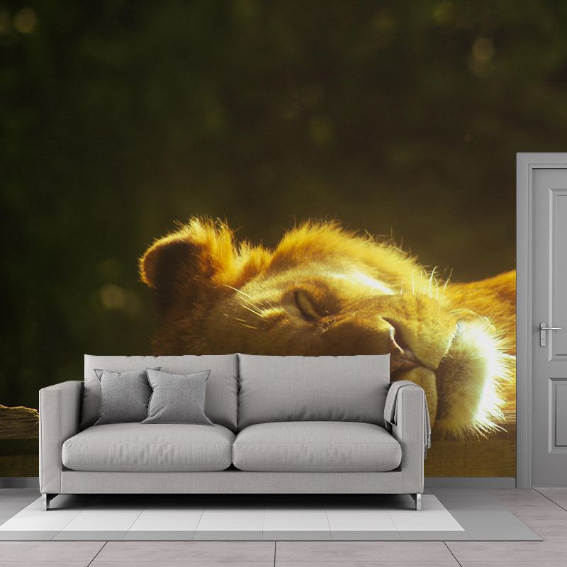 Customized Lion Wall Mural Horizontal Photography for Sleeping Room Decoration