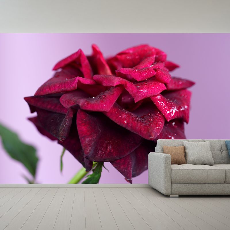 Blossoming Rose Mural Wallpaper Flower Wall Decor for Bedroom Living Room