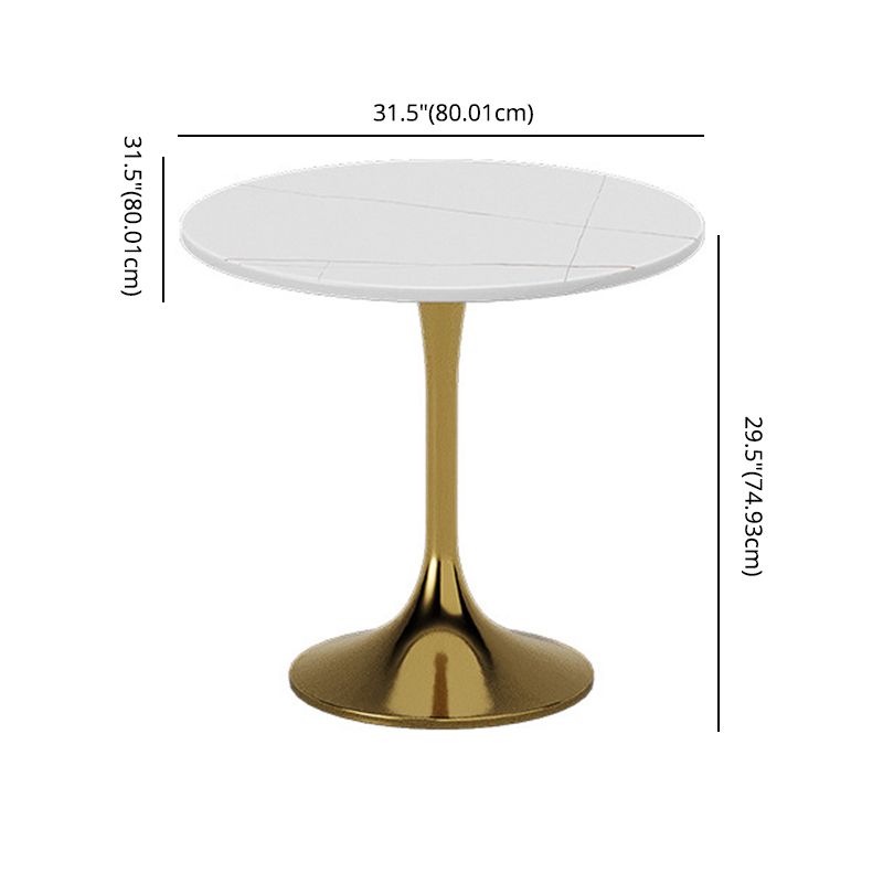 Glam Sintered Stone Dining Room Set with Round Table Formal Dining Table Furniture