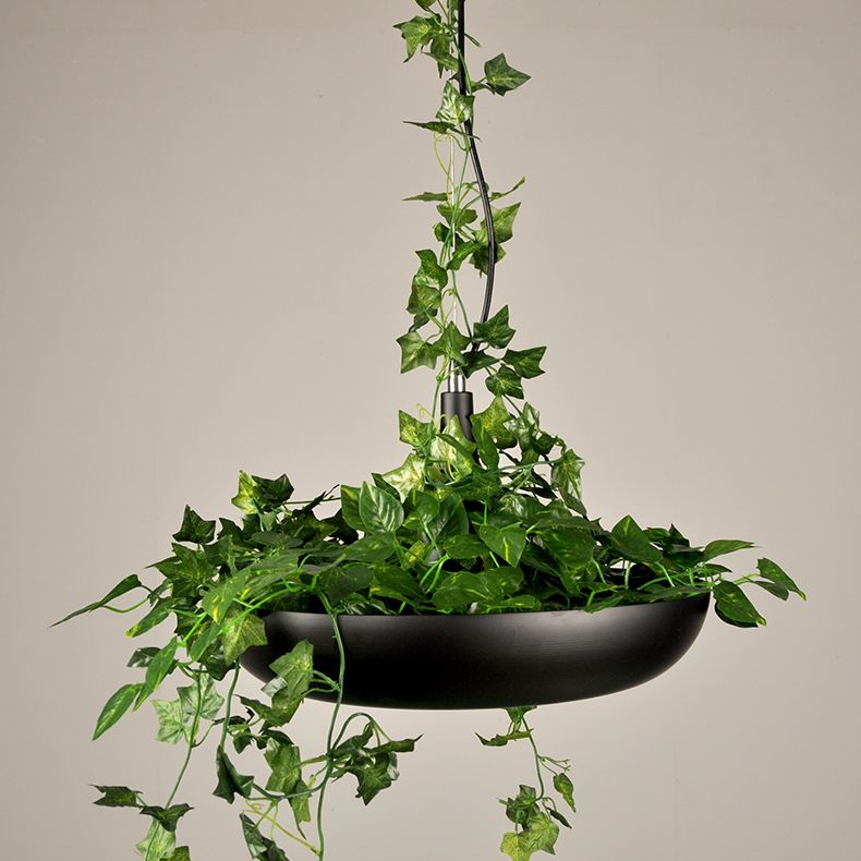 Industriële verfrissende planten hanglampen plafondlampen creatief een enkele licht hanglamp voor coffeeshop