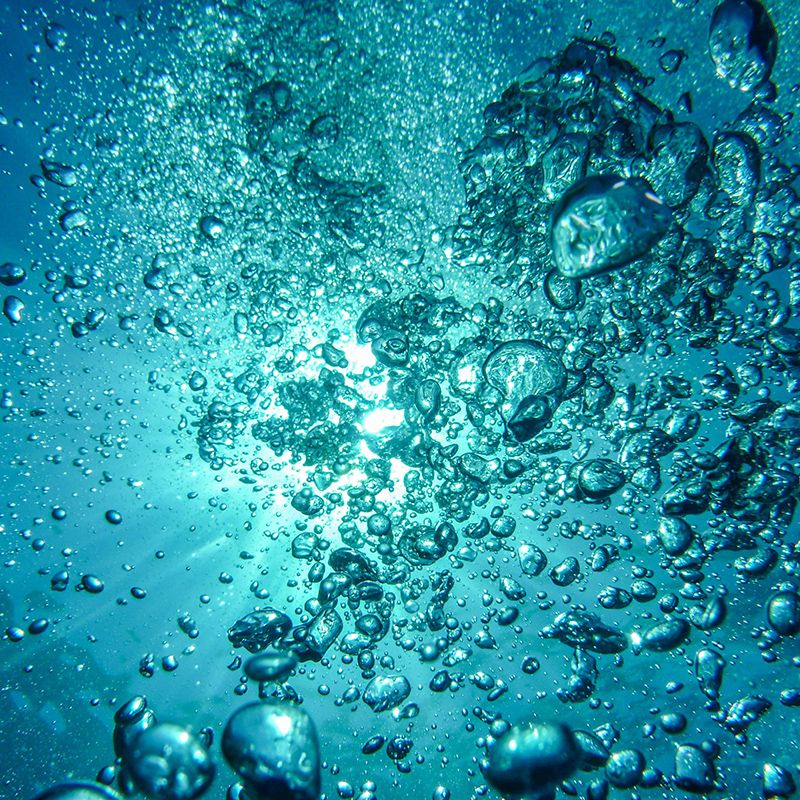 Eco-friendly Decorative Mural Undersea Horizontal Photography Wall Art