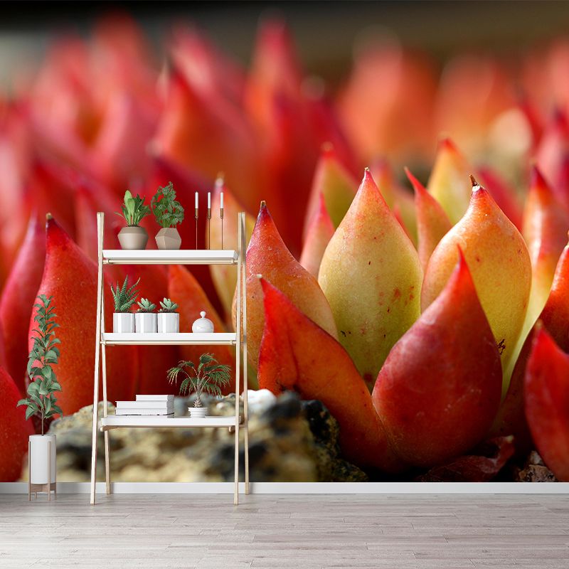 Succulent Potted Plants Mural Wallpaper Stain Resistant Wall Covering for Living Room